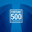 Fortune 500 Experience